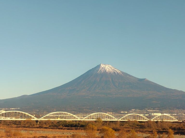 1月のお知らせ